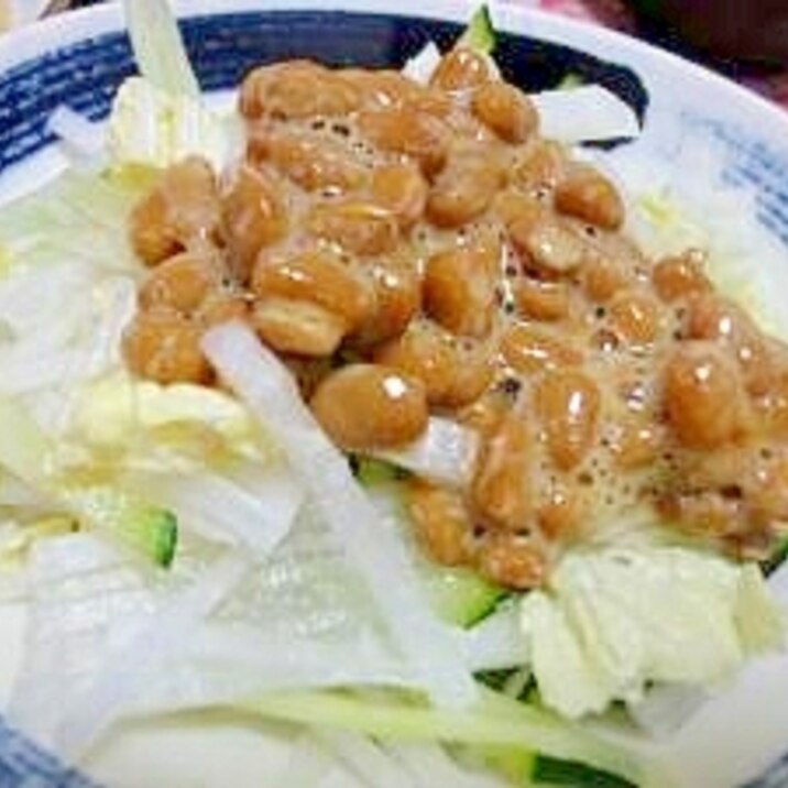 野菜たっぷり 納豆ドレッシングのサラダ レシピ 作り方 By まの925 楽天レシピ